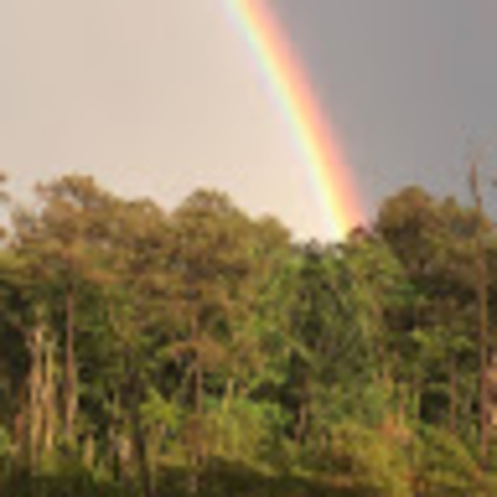 Meet your Posher, Its